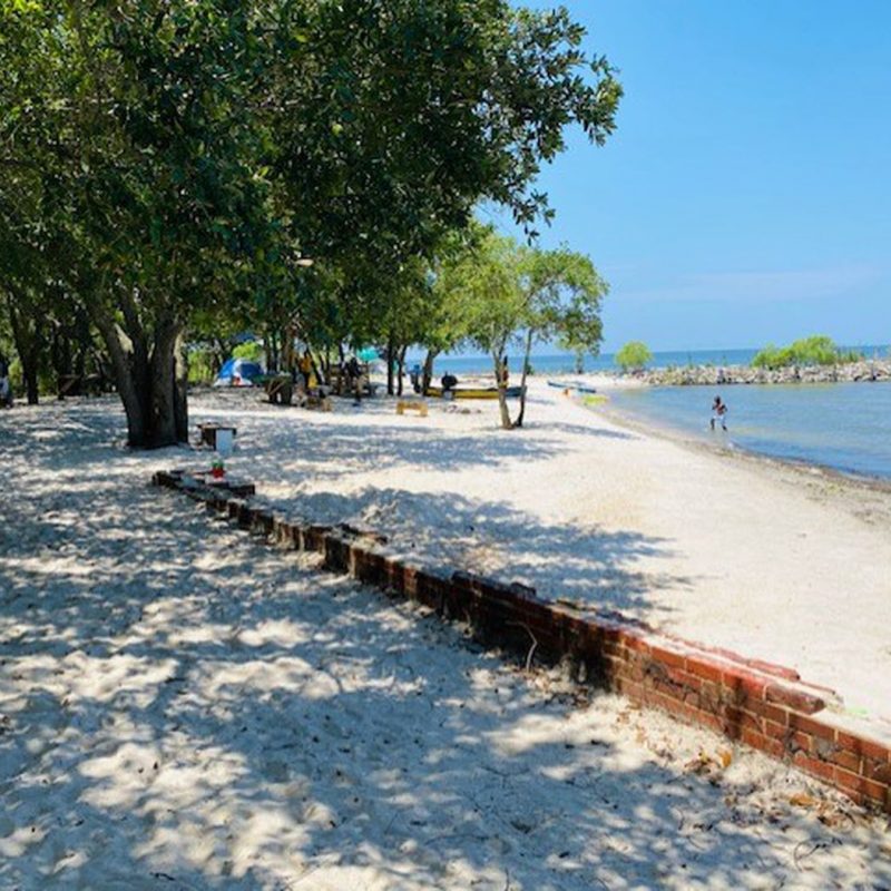 Lincoln Beach after restoration efforts by Reggie Ford. Source: Reggie Ford